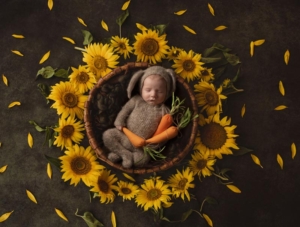 newborn image of baby girl in a bed of sunflowers